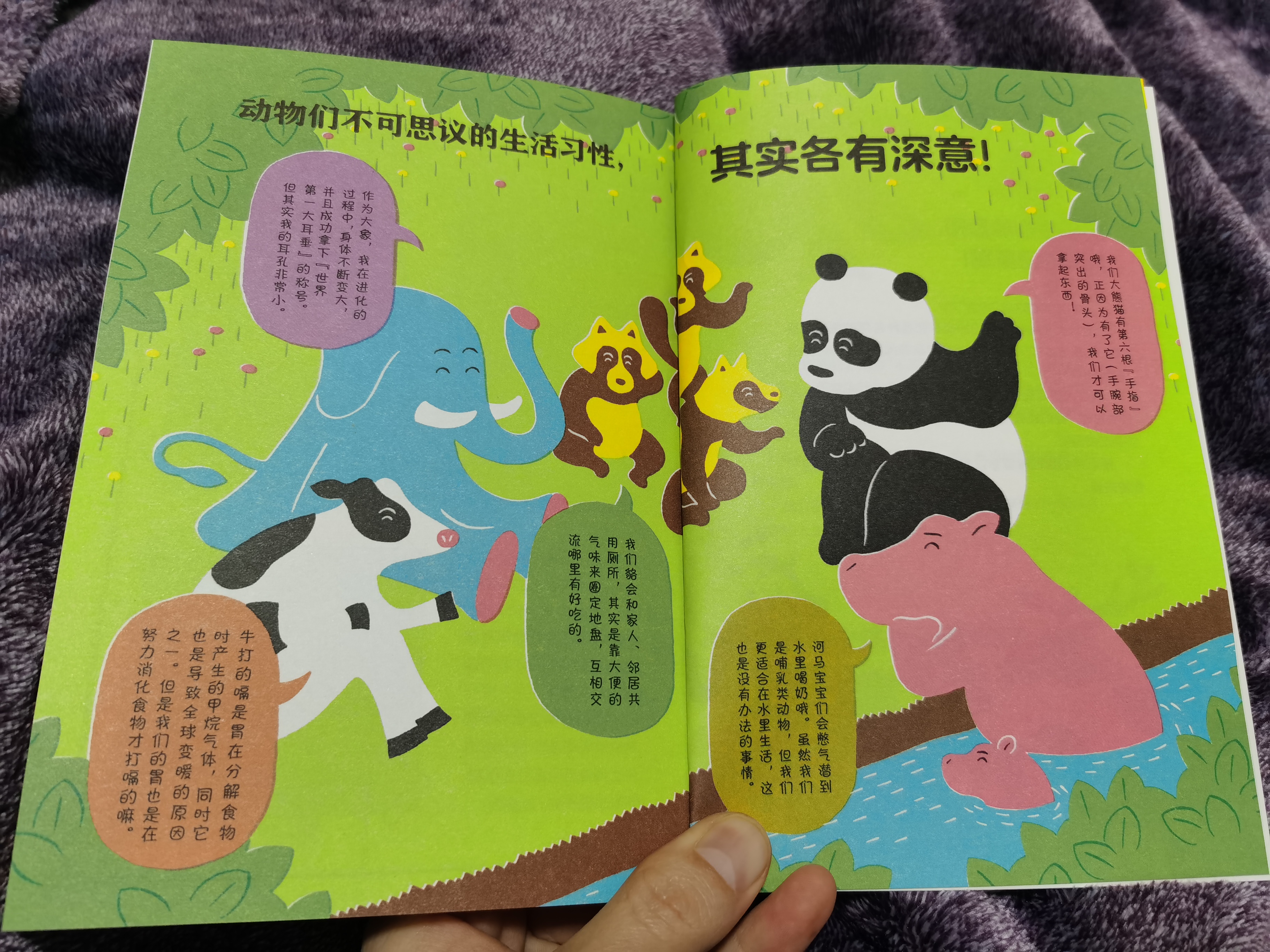 熊猫有几条腿是四条还是两条,熊猫有几根脚趾几根手指