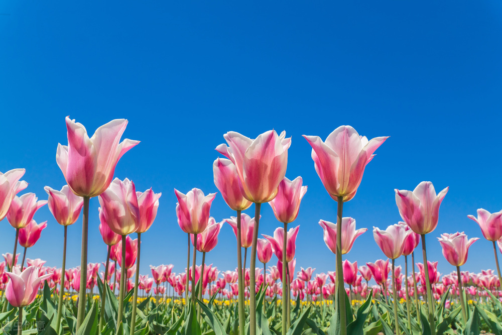 快速提高情商的40个方法,提升口才和情商的方法