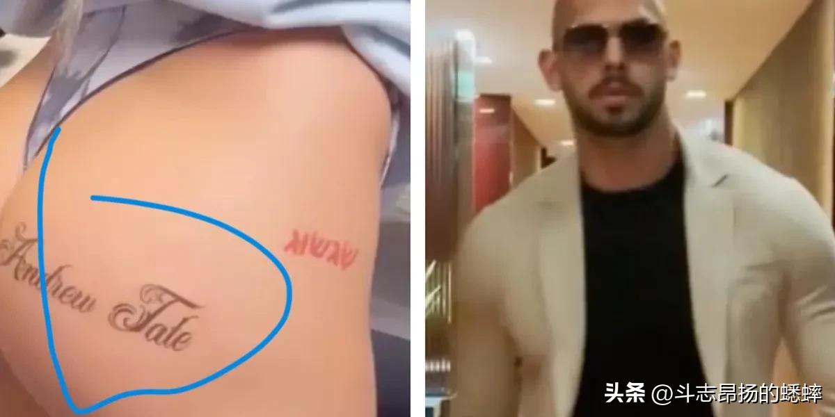 安德鲁泰特tiktok,tiktok如何获得更多流量