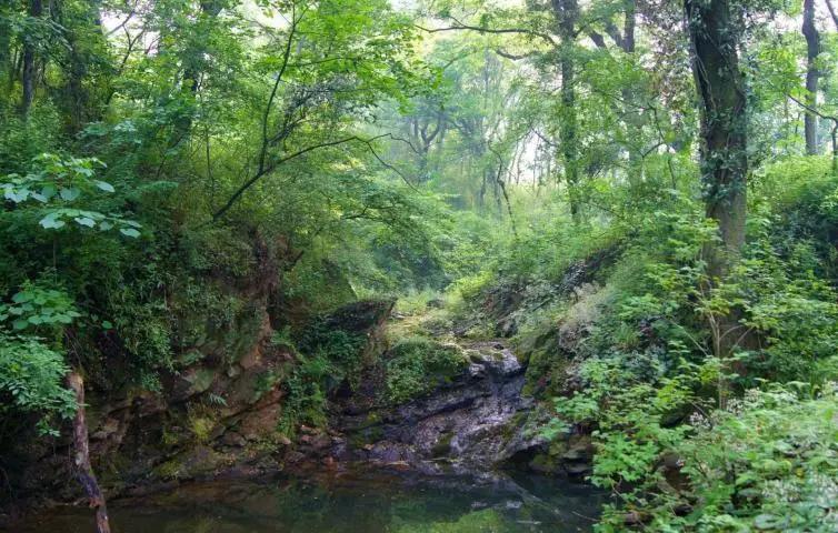 安徽青阳周边自驾游推荐,安徽周边自驾游推荐景点