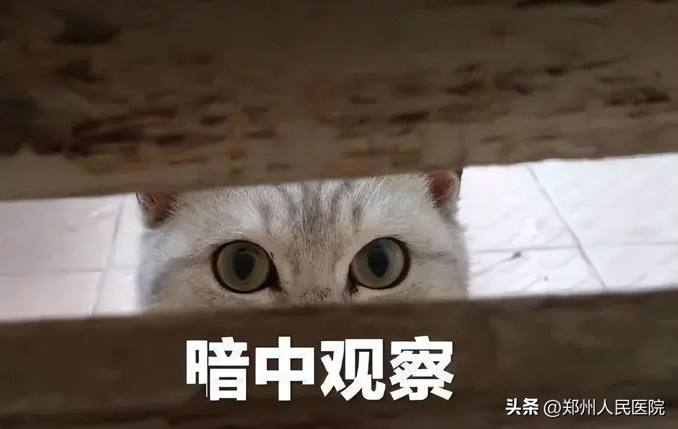 “节省”差点要命!一个甜瓜让男子失去意识......