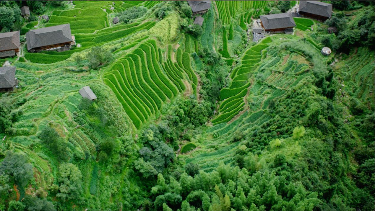 投影仪开箱测评500元以下,投影仪开箱100元