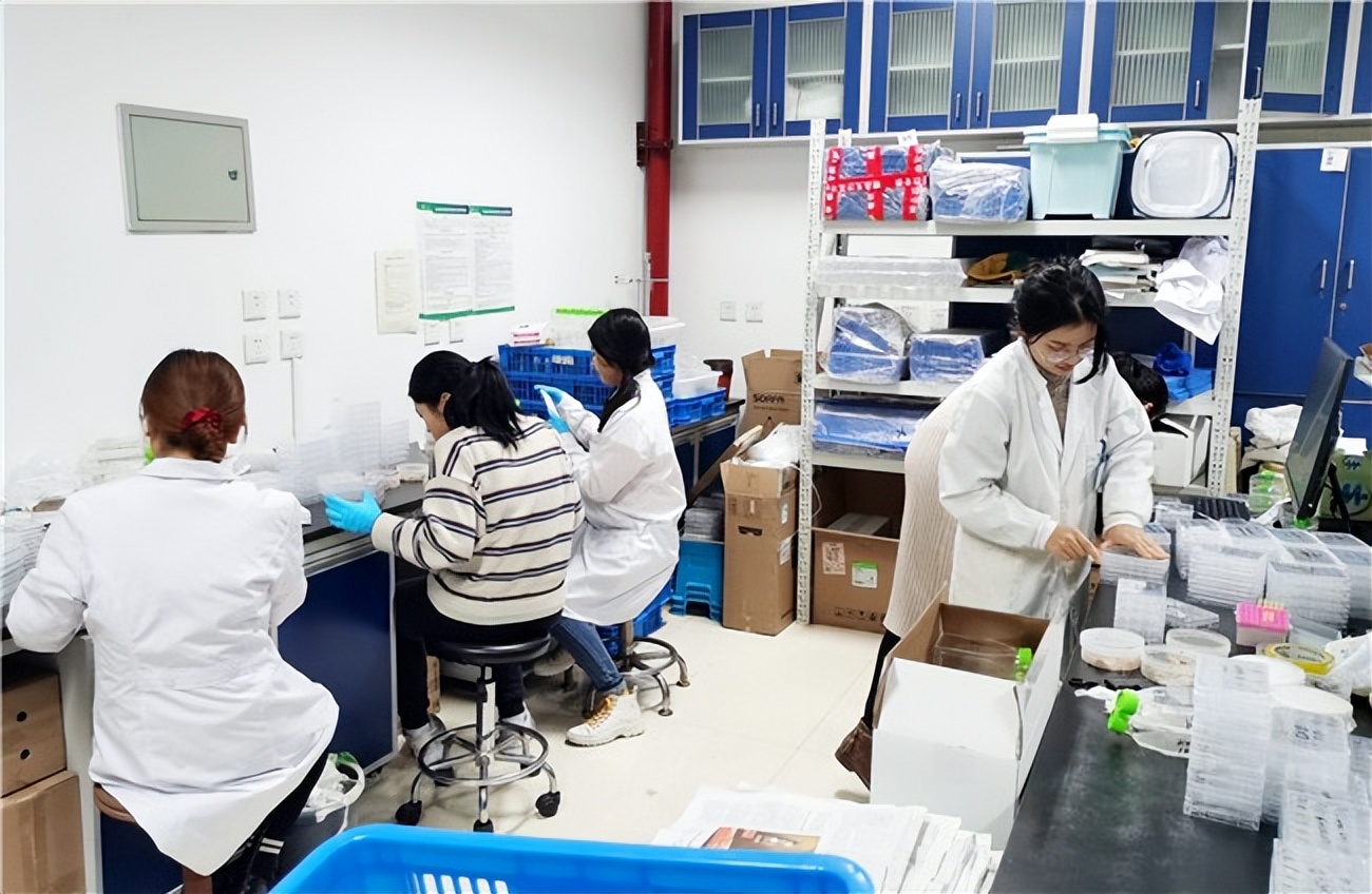 南开天大最强学科,南开大学整体数学实力