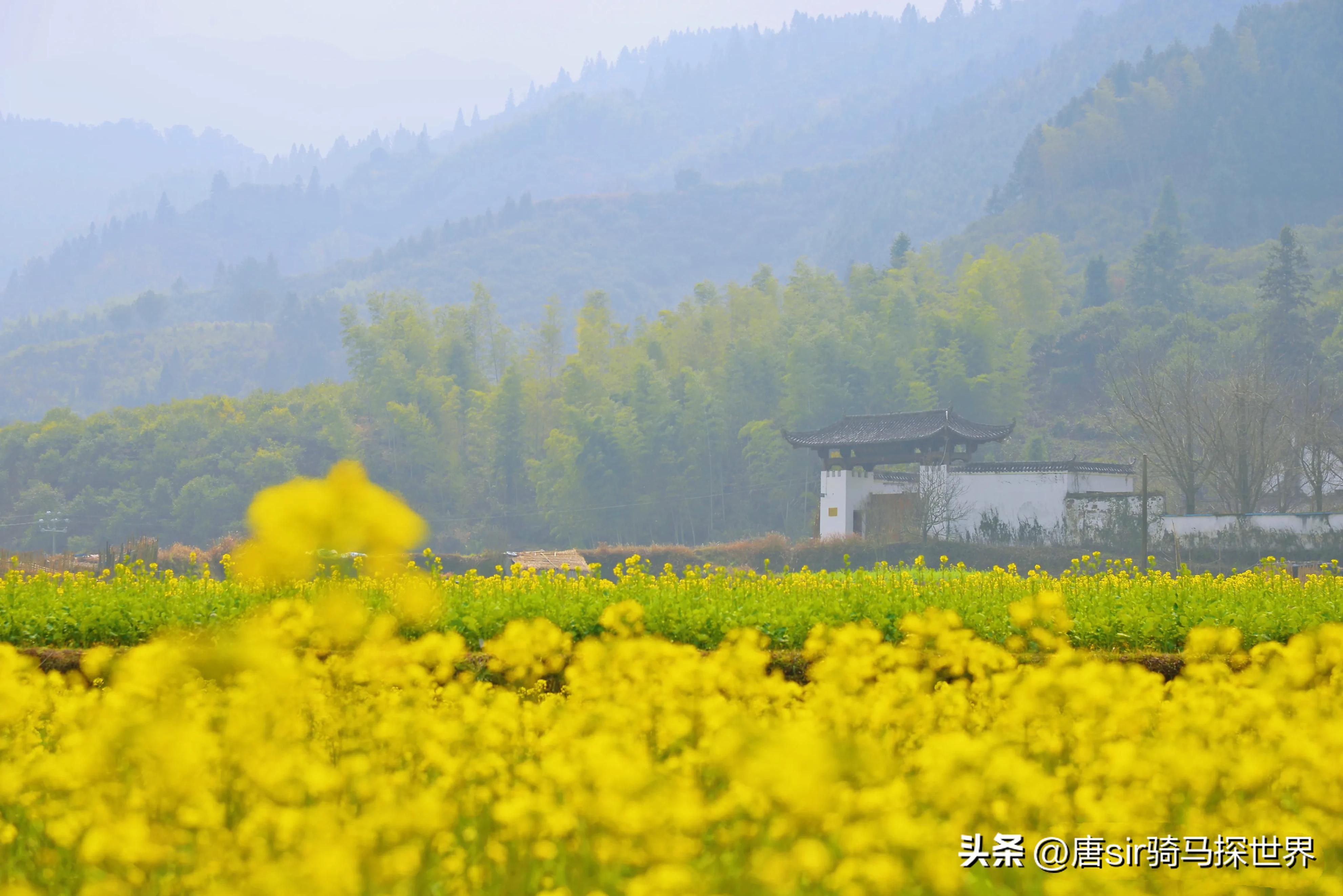 婺源江湾著名景点,婺东第一村