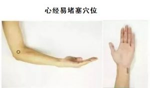 十二经络足阳明胃经穴位走向,胃部经络最易堵塞三个穴位