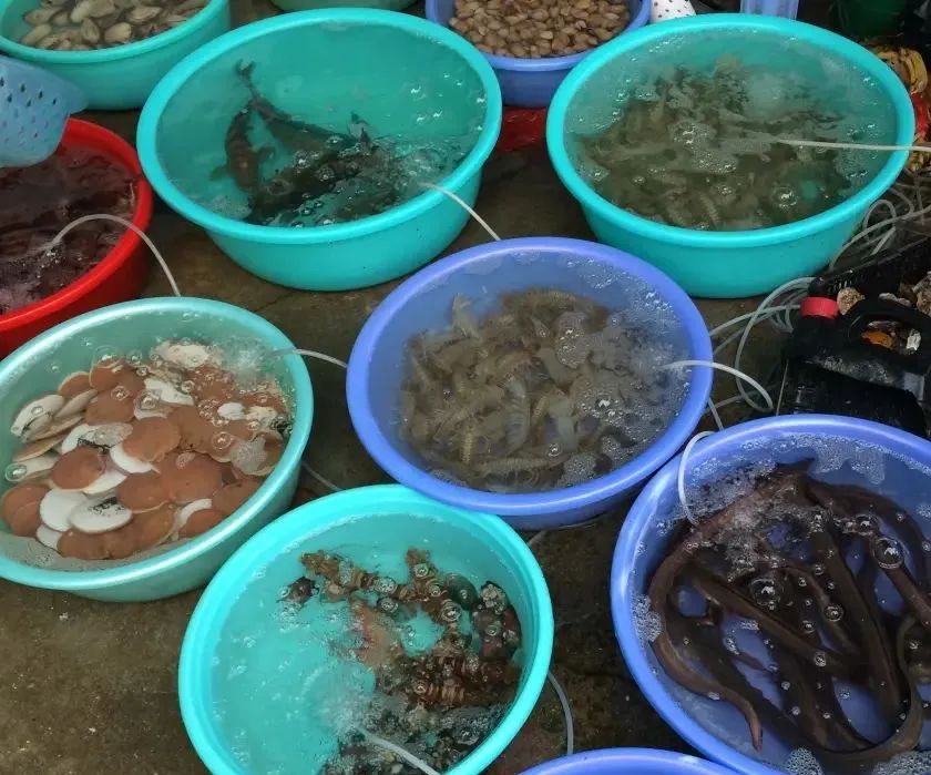 北海涠洲岛避坑全攻略,北海涠洲岛旅游风景几月去最好