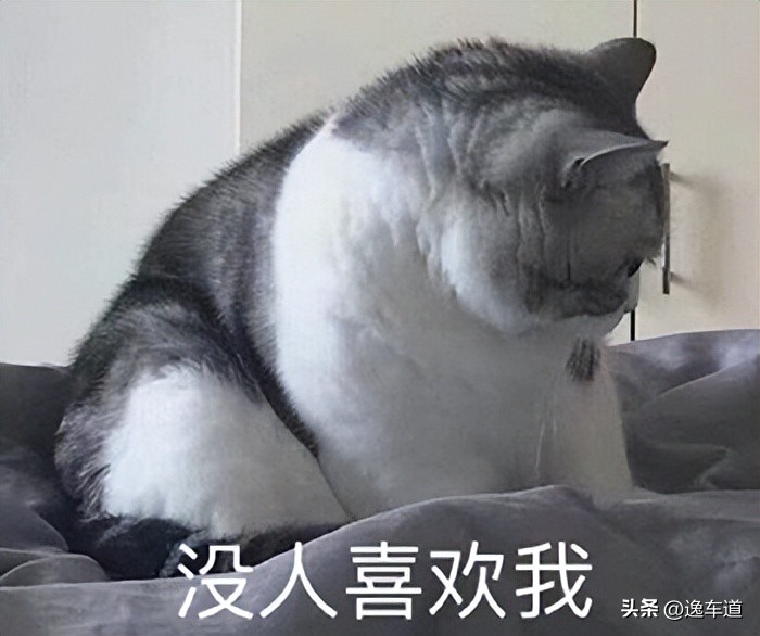 8万预算瓦罐车,8万左右的二手瓦罐车