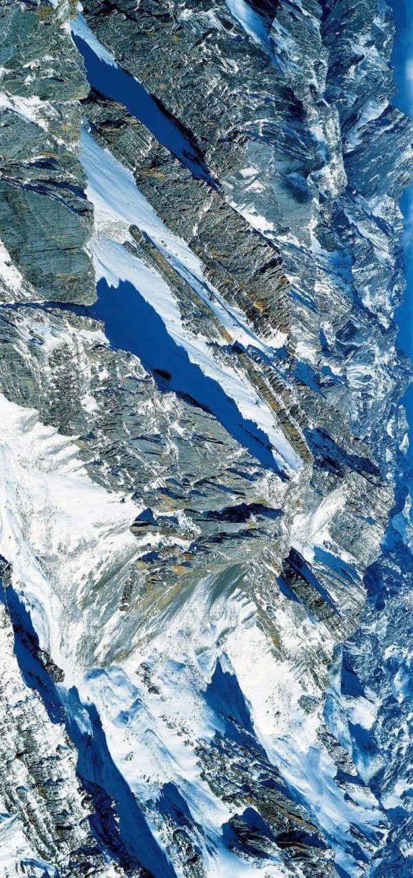 中科院微生物研究所白逢彦,中科院微生物研究所食用菌种