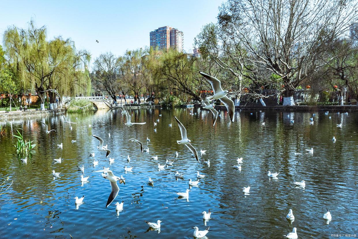 昆明本地人必去十大景点,昆明值得看的景点