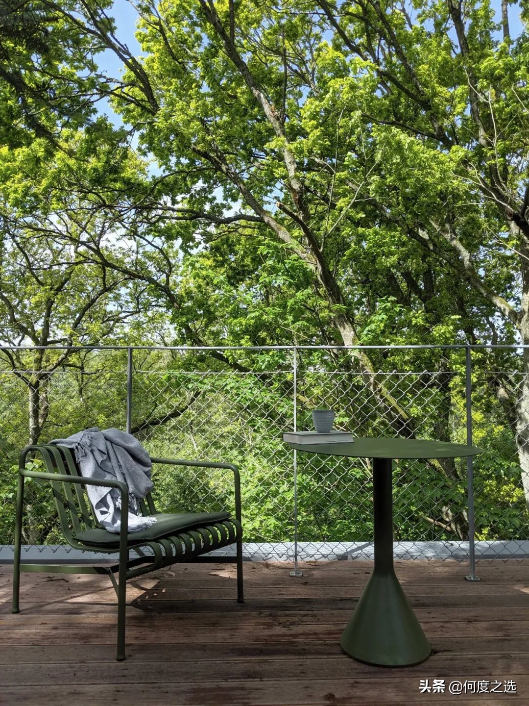 森林里的“树屋”：丹麦森林中建造的酒店，美到让人窒息