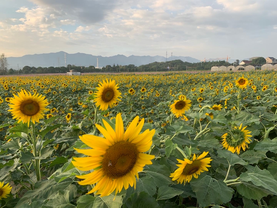 “污水”转一圈就能喝，一家神奇的工厂
