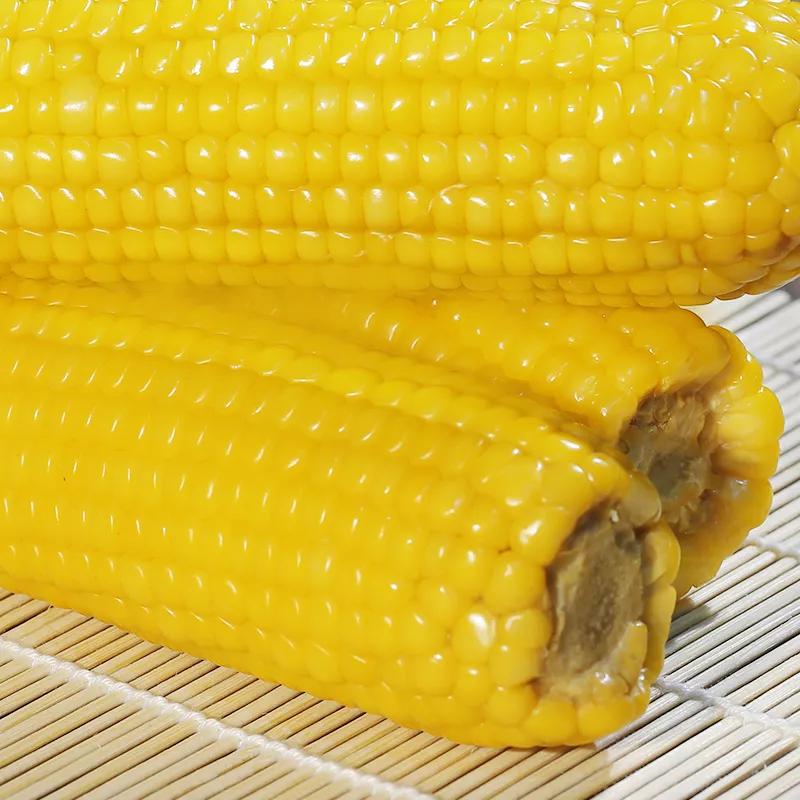 陕西农村的故事,农民与土地故事