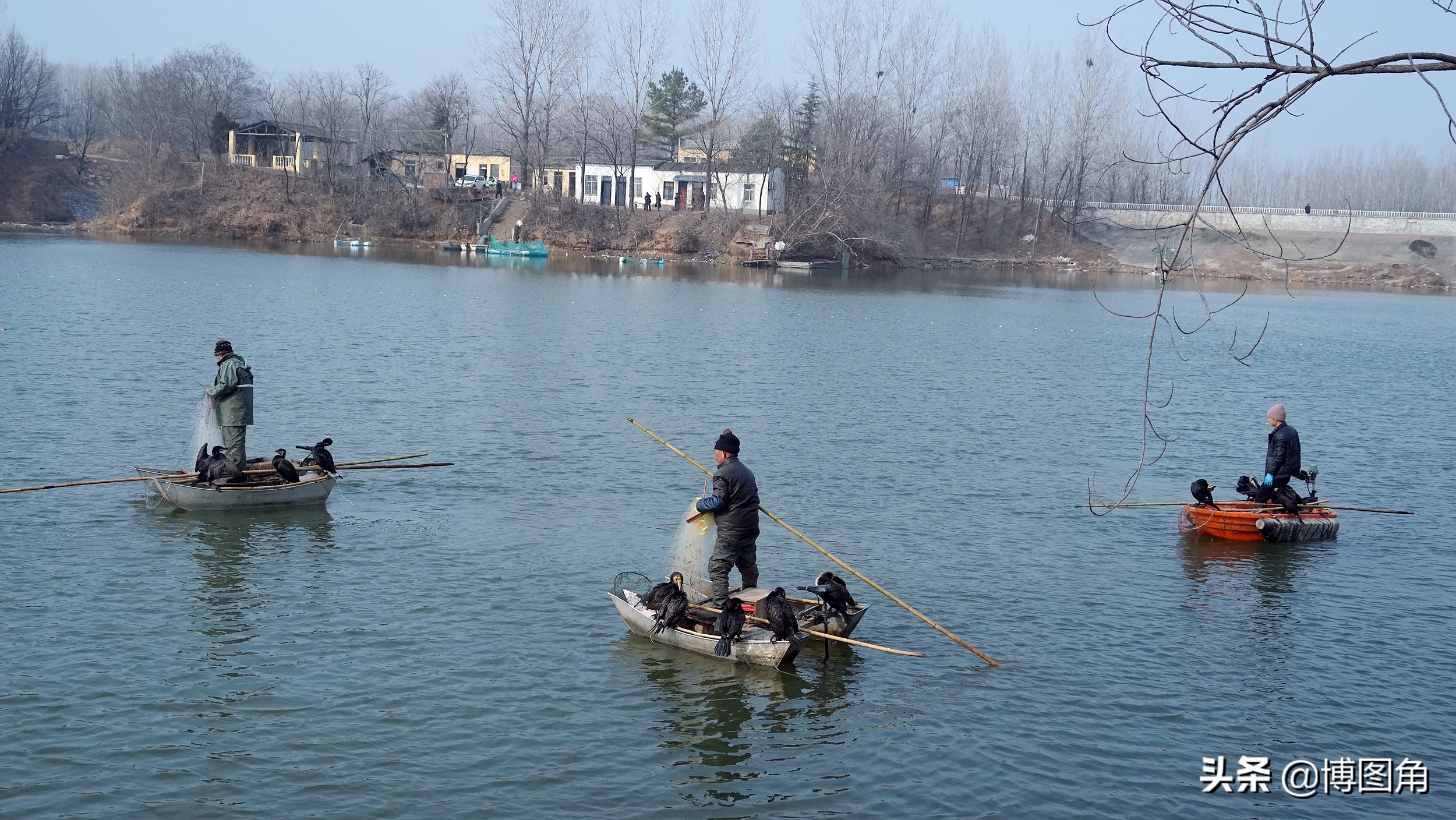 鸬鹚捕鱼渔民生活实拍精彩的瞬间,渔民与鸬鹚捕鱼图片