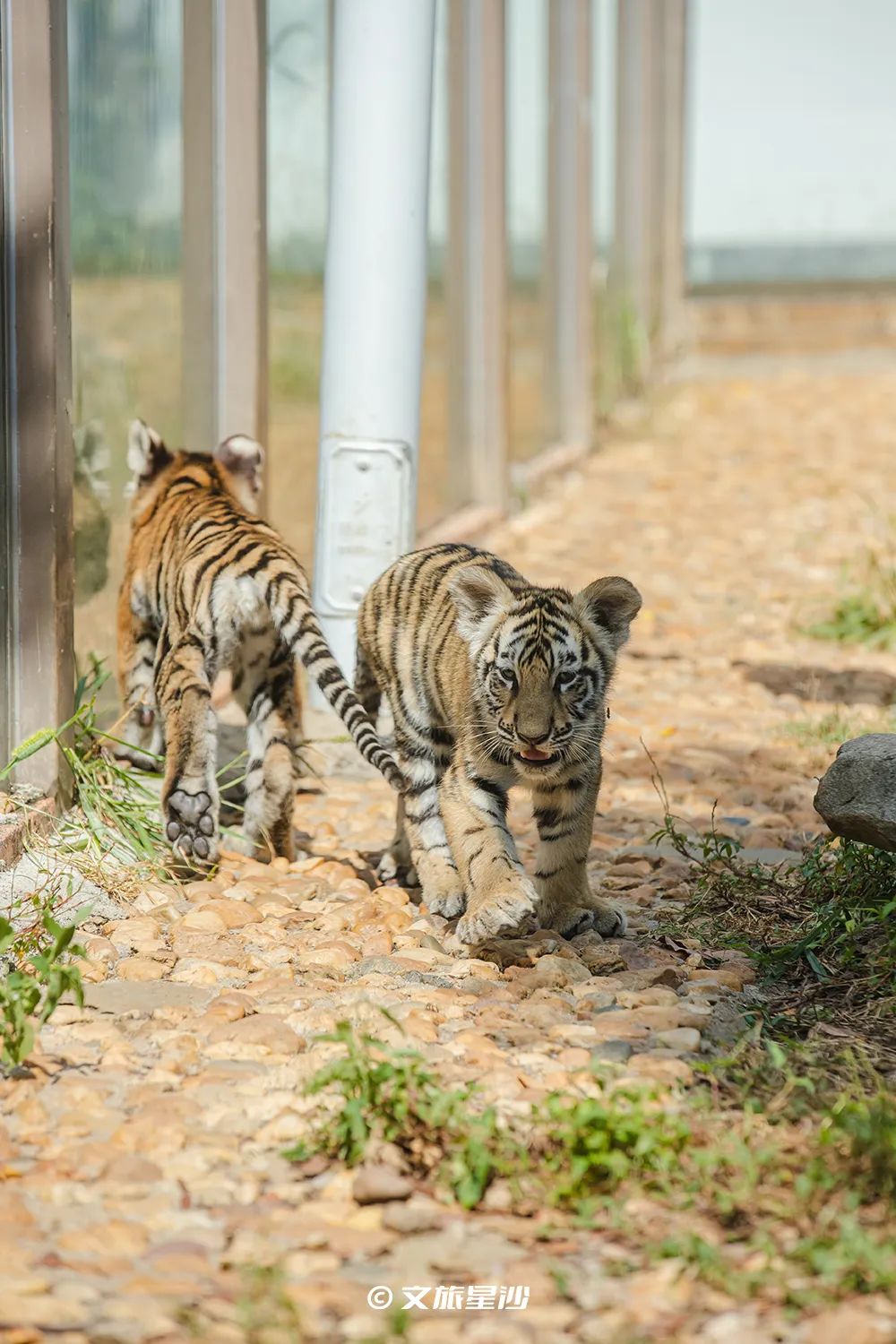 收藏附近吃喝玩乐,夏季长沙星沙吃喝玩乐攻略