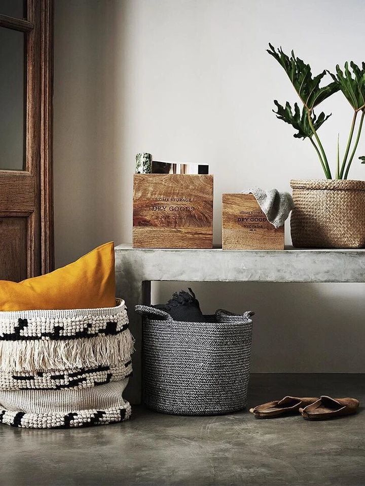 手残党也能养活的10种绿植,十种大家都在养易存活绿植