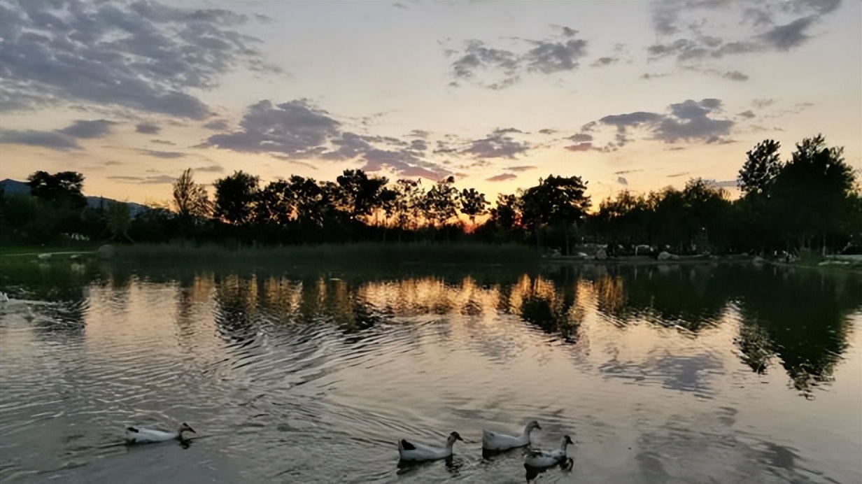 白居易最经典的七言律诗,白居易最简单的五言绝句