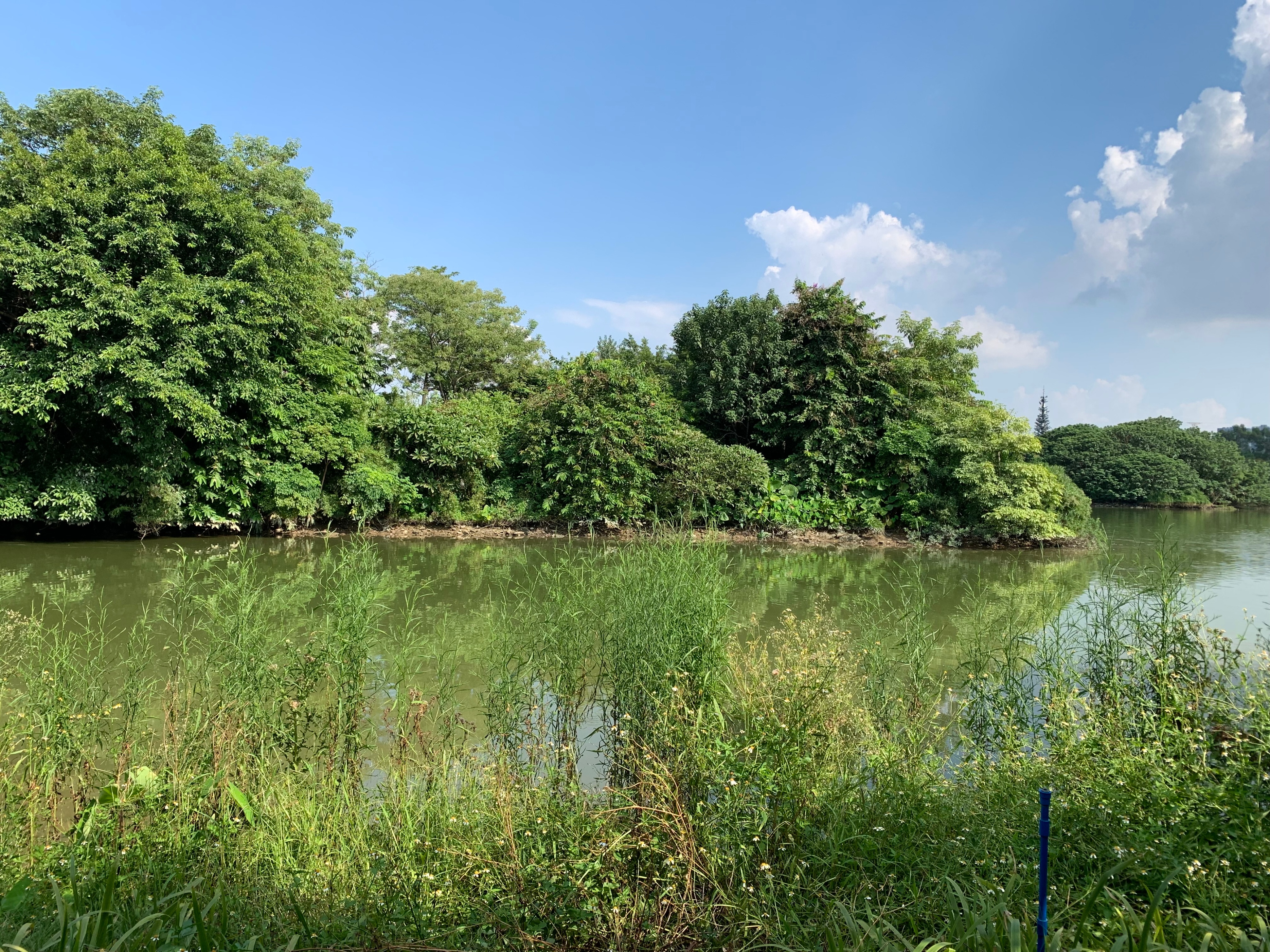 2022海珠湖公园春节游玩,海珠湖湿地公园最佳游玩时间