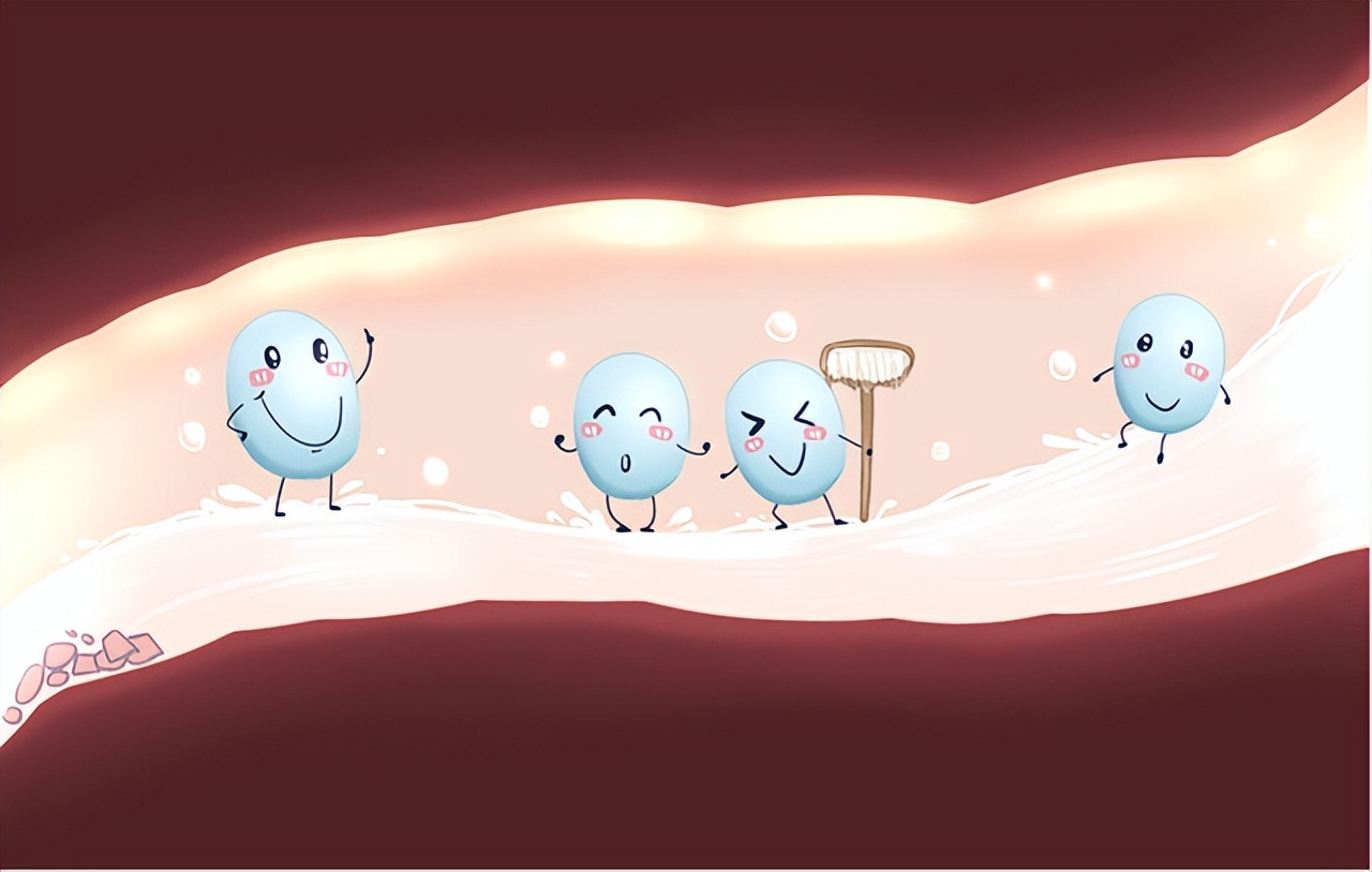 人体内有30斤宿便,人体有多少毒素从大便排出