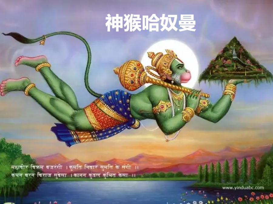 西游记中孙悟空适合当哪一种老师,唐僧师徒四人选一个孙悟空