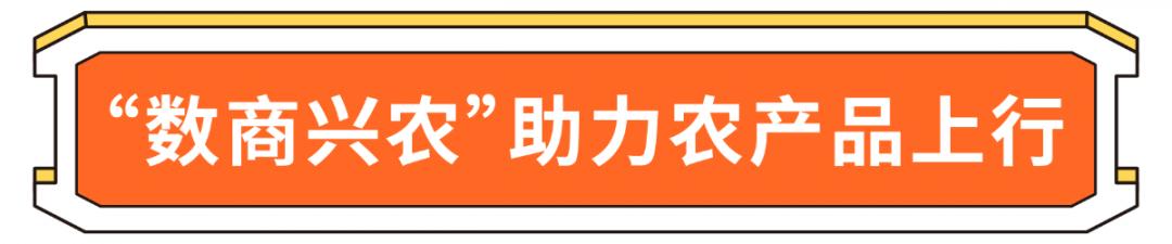 来来来，八大电商平台等你来