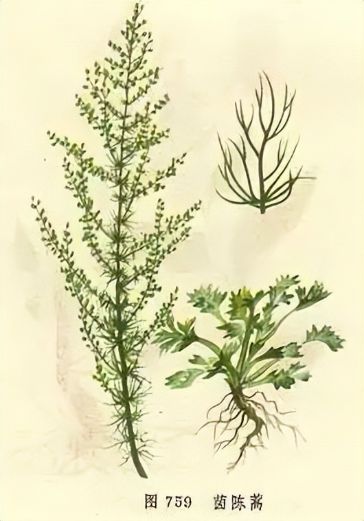 又有国家现不明原因儿童急性肝炎,多国现不明原因儿童肝炎病例