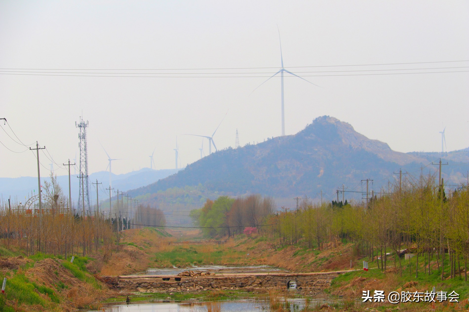 牟平西念村,牟平姜格庄西念村