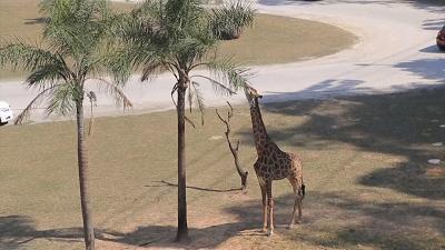 广州长隆酒店童趣乐园,广州游玩长隆性价比超高的酒店