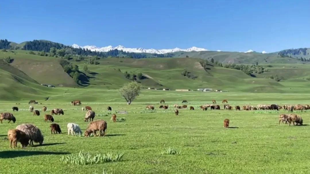 三十望子四十望孙,三十望子四十望财五十望人