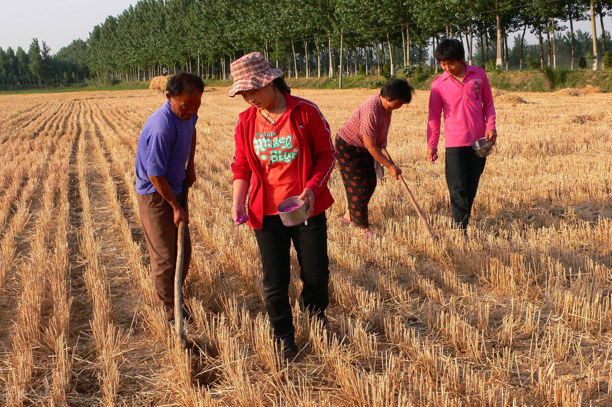 现在的农村到处是风景,农村旧时田园风光