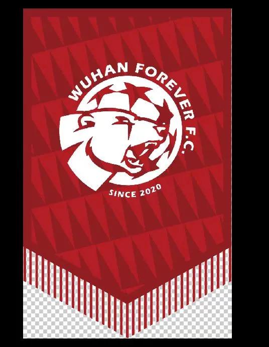 武汉塔子湖校园联赛,武汉市足球联赛塔子湖