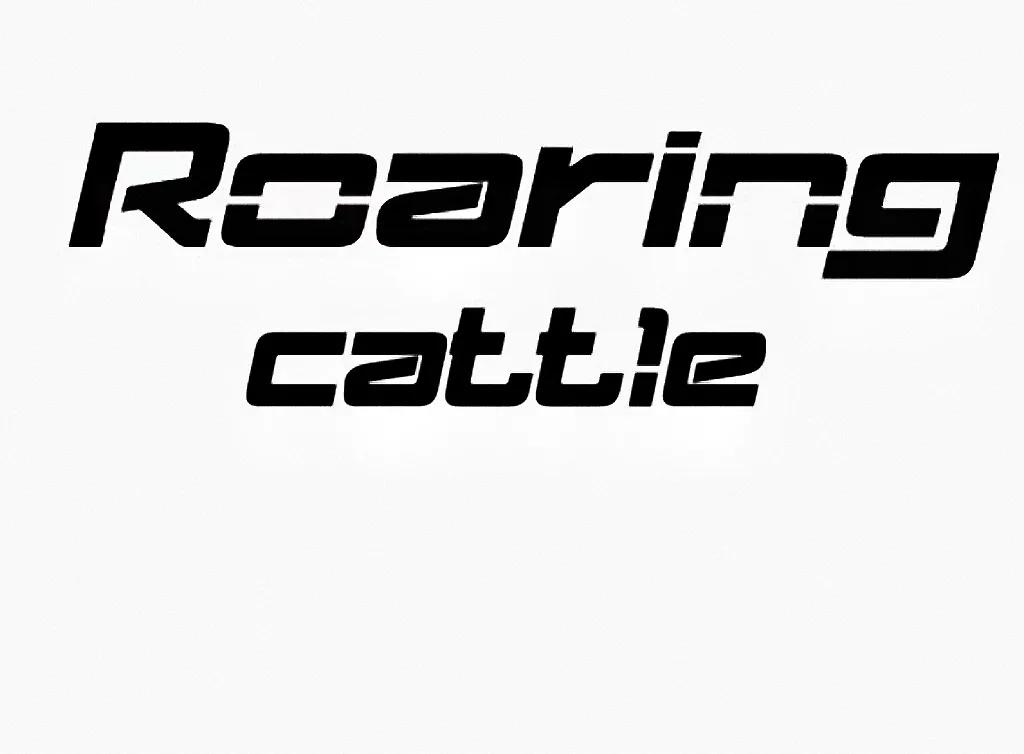 劳士顿陶瓷的手表好吗,英国劳特莱手表怎么样啊