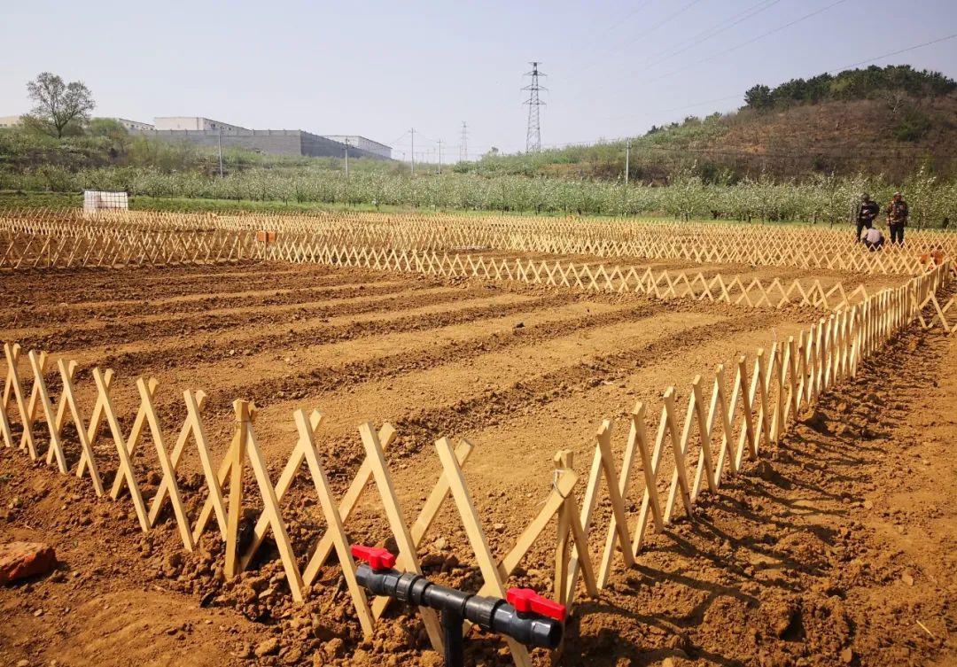 农民用地下水浇地违法吗,抽地下水灌溉农田违法吗