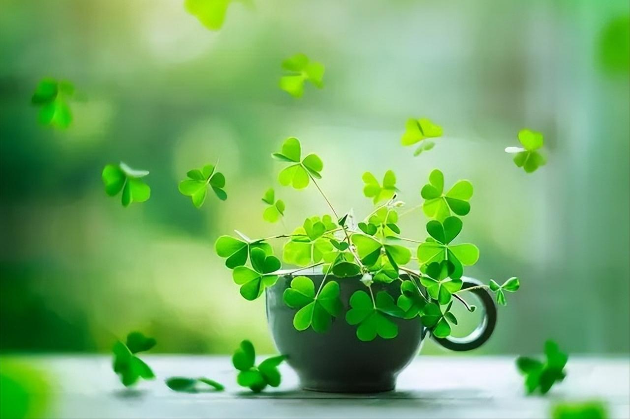 关于人生相遇的古诗词,关于不期而遇的古诗词