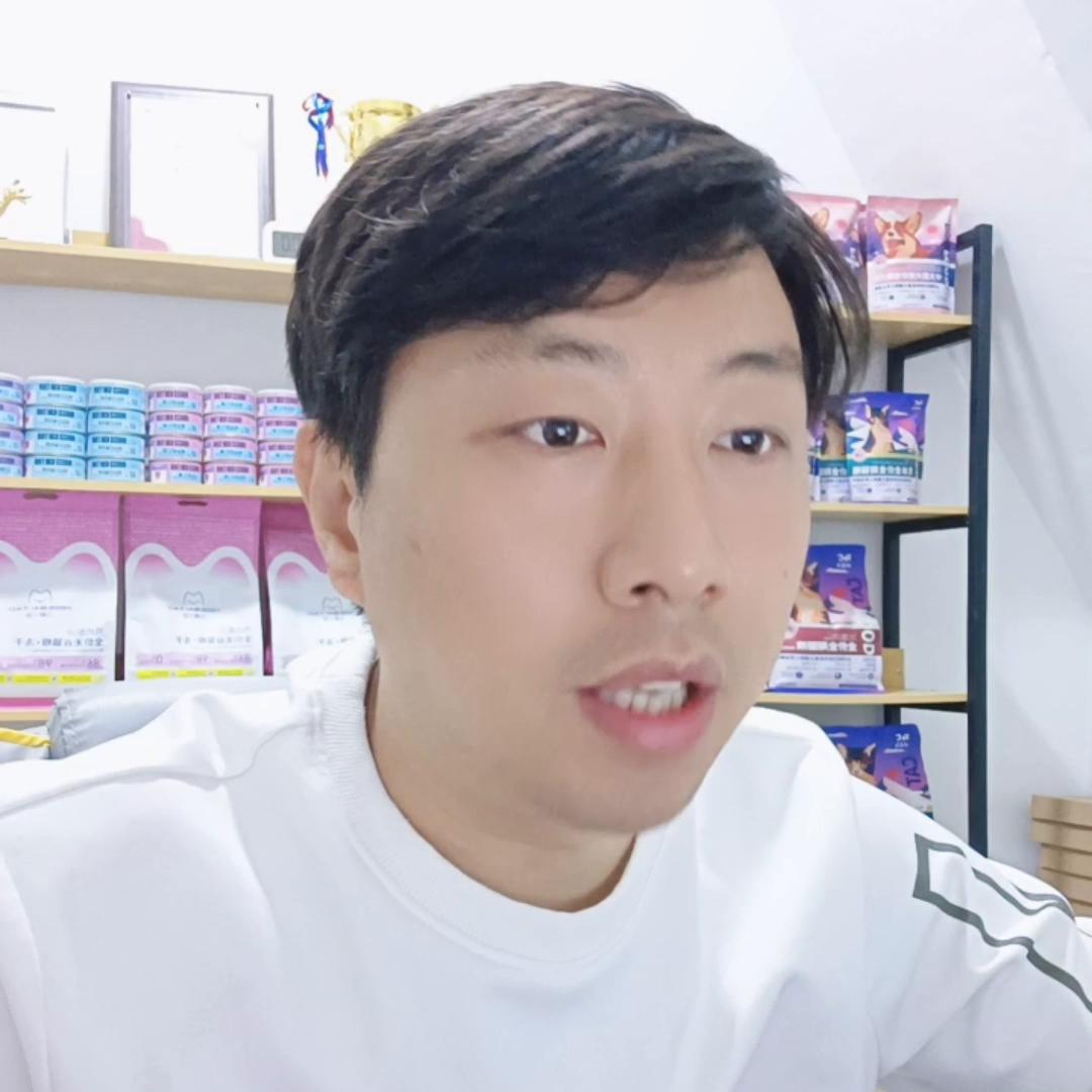 宠物店训犬加宠物美容模式,去宠物店学习