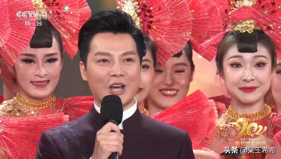 央视春晚主持人鲁豫简介,央视春晚开场任鲁豫