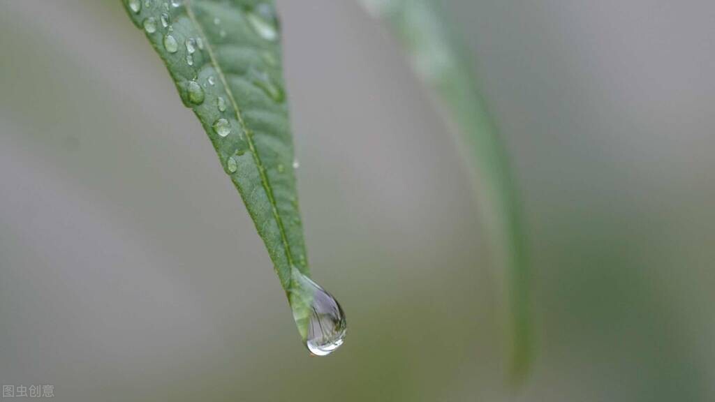 精子黄黄的是什么情况,精子黄黄的是怎么回事