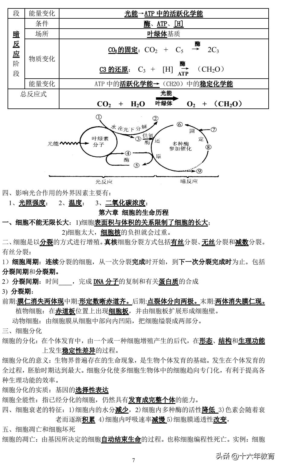 高一期末生物复习必备知识点,高考生物常考点总结