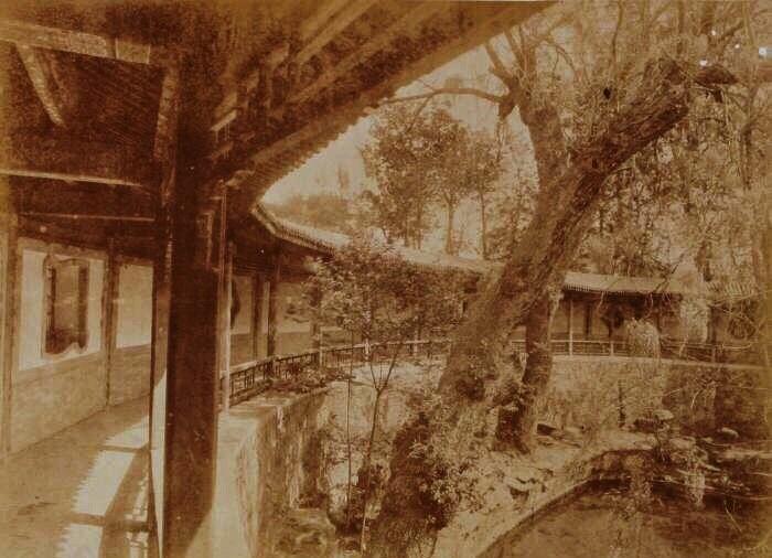 日军日记：*安妇慰**不服从管教，我很愤怒，用*刀刺**插入她的*体下**