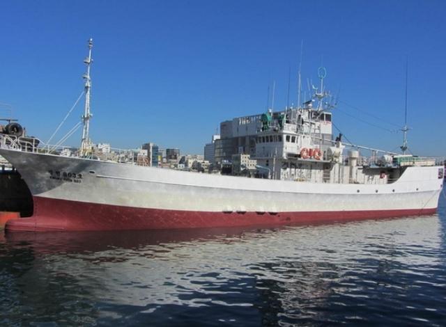 文在寅为中国船员辩护,文在寅给中国船员辩护是真的吗