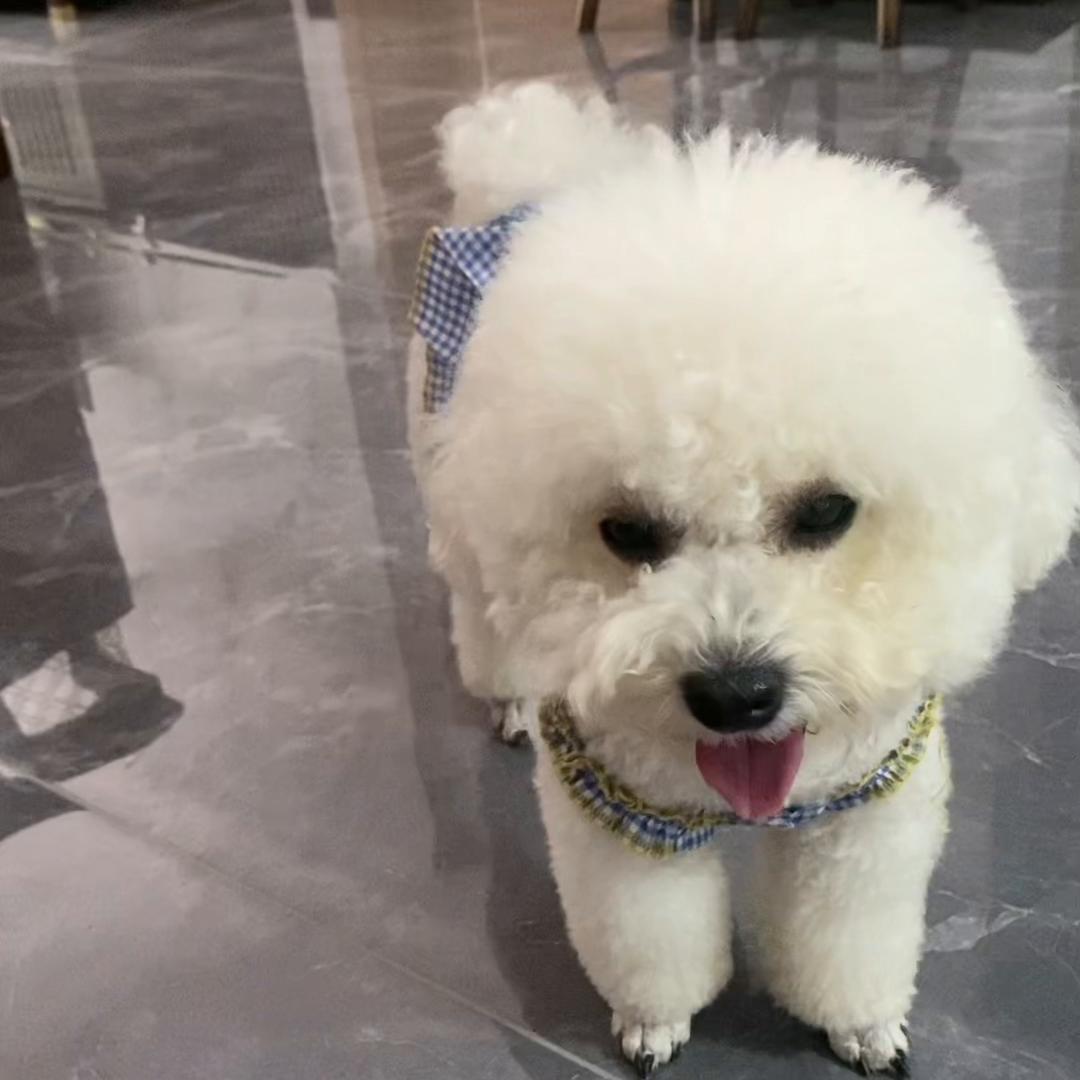 哈哈，真小气，想让他出点钱，太难了