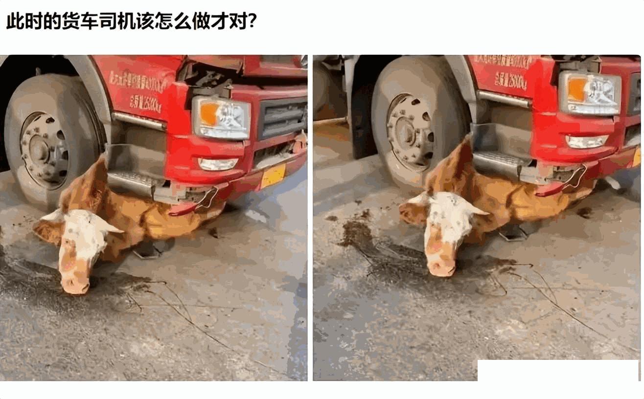 大爷你这是刚挖煤回来吗，另外你这车还挺个性的，这方向盘牛