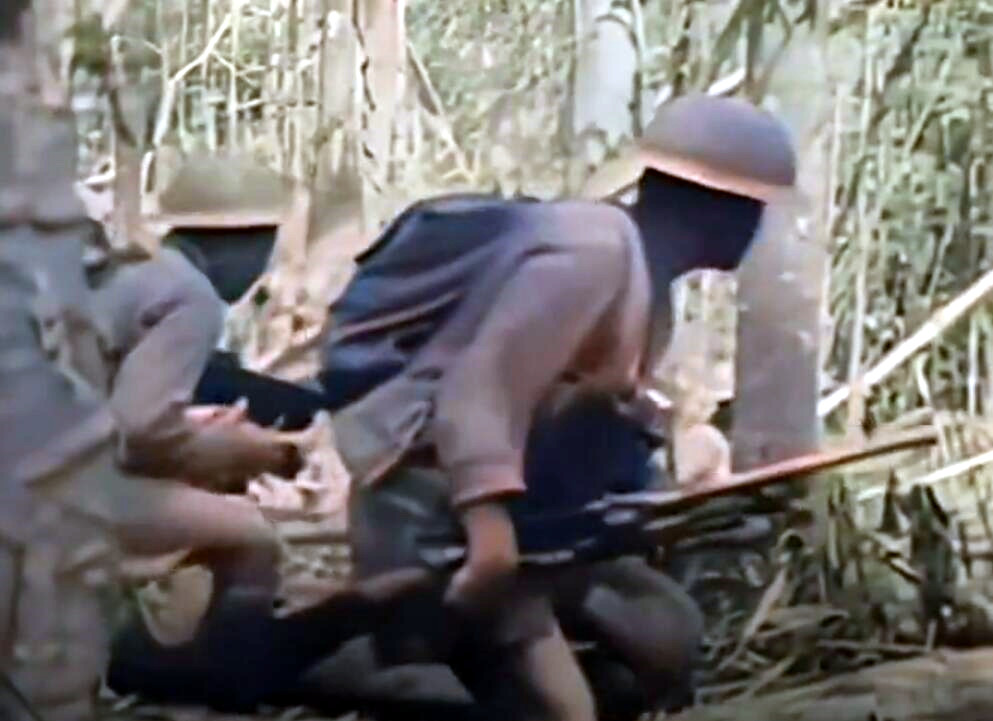 美式75毫米山炮,美式75毫米山炮步战车