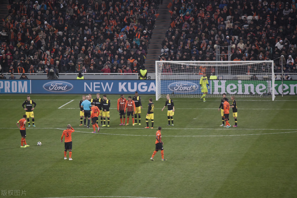 伪球迷的意义,伪球迷行为