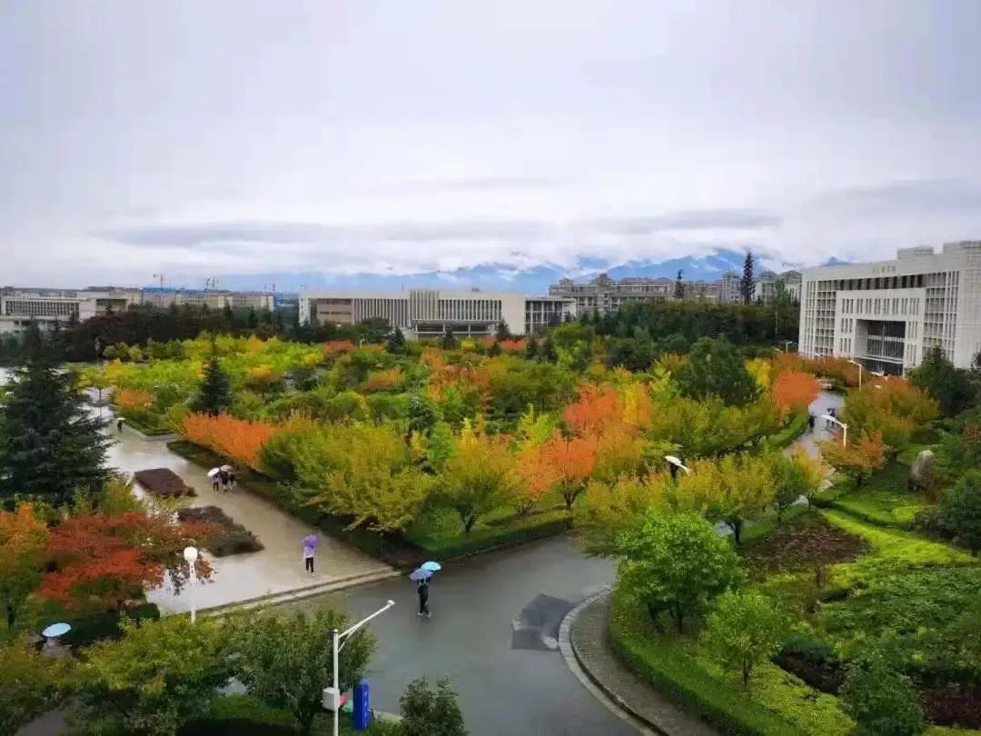 西安财经大学为啥考上就是金饭碗,西安财经大学为何排名降得厉害