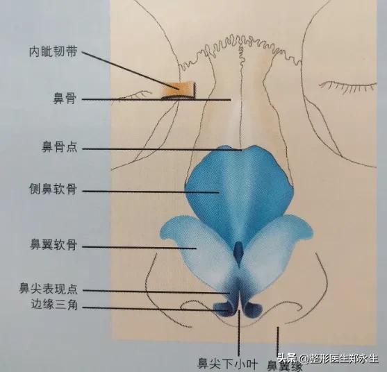 鼻中隔偏曲很严重有必要做手术吗,鼻中隔偏曲严重必须做手术吗