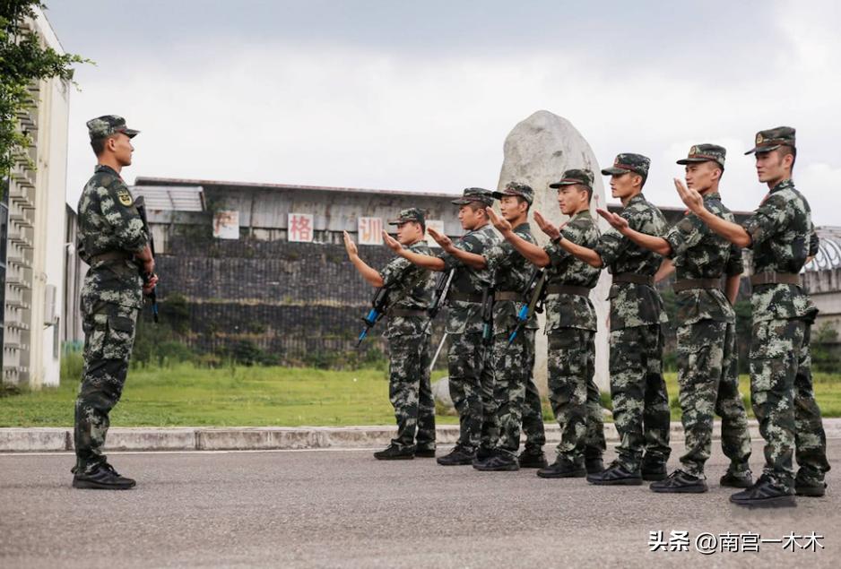同样是交警为什么车牌不一样,警车上的公安和警察有什么区别