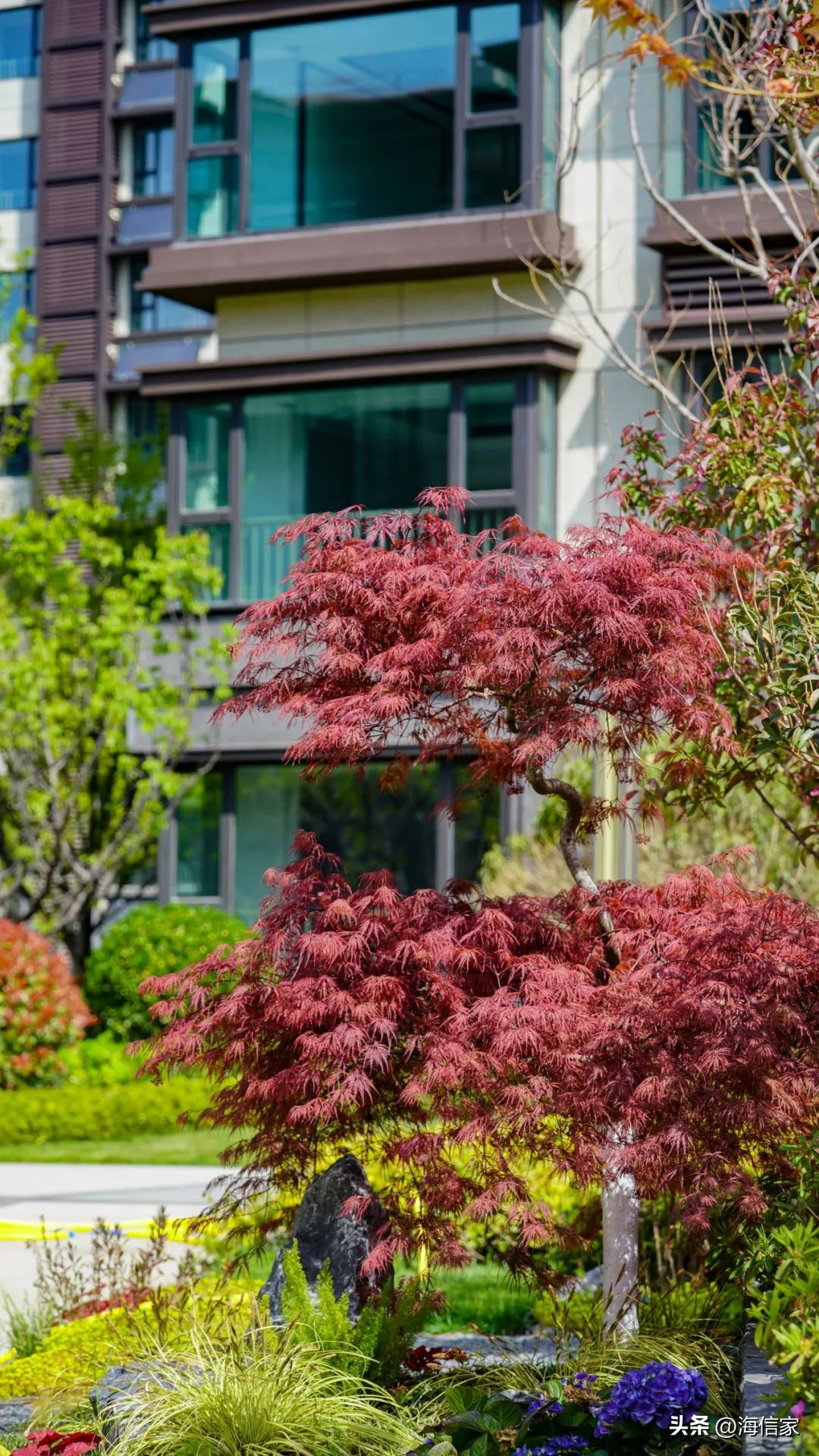 海信地产上半年交付3349户｜以信筑家塑造生活的品格