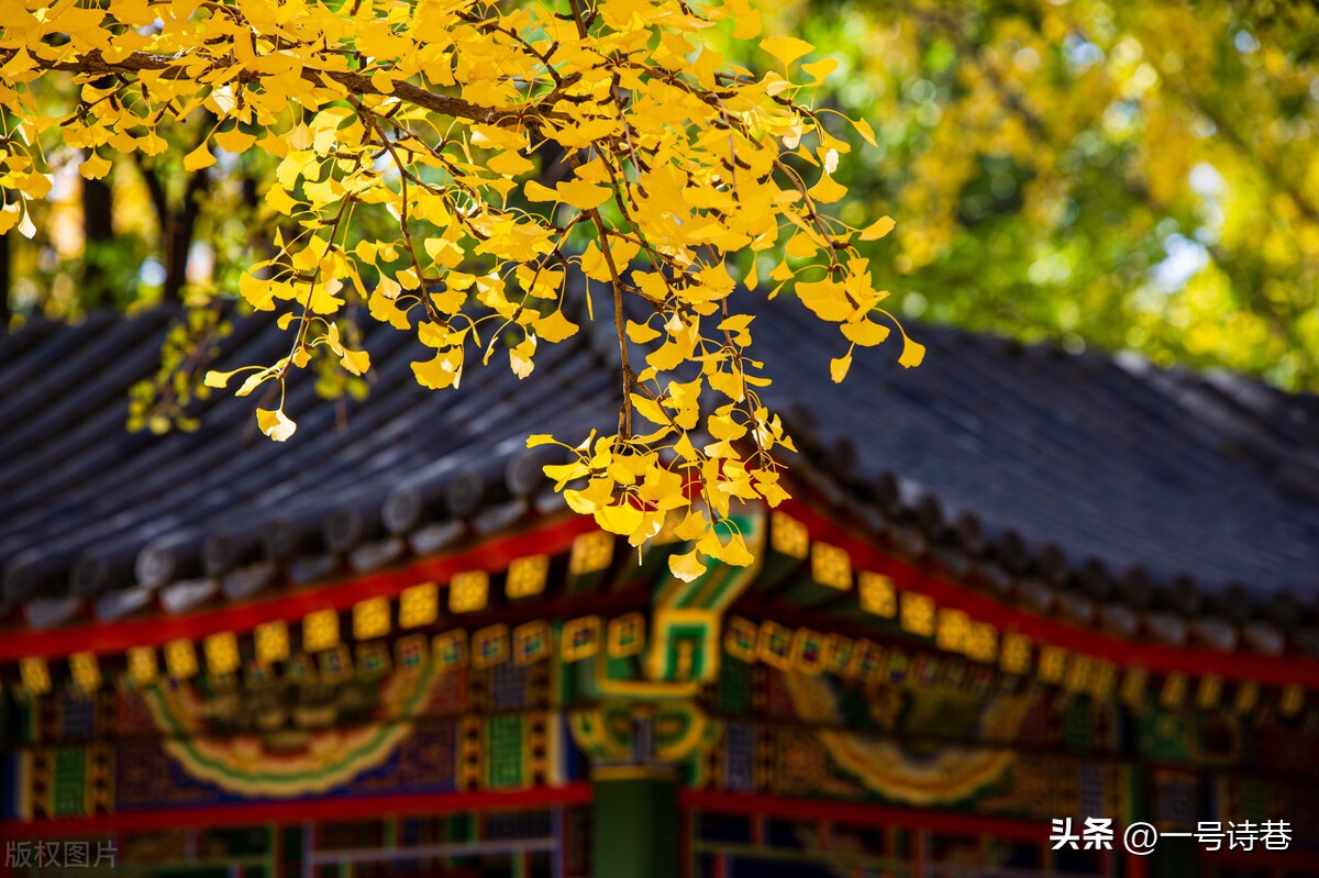 江湖夜雨十年灯陆游最著名的七律,陆游的诗两句