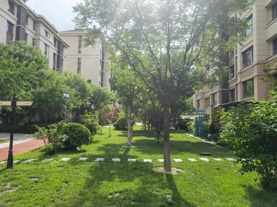 武清区龙湾城优缺点,老白带你探房