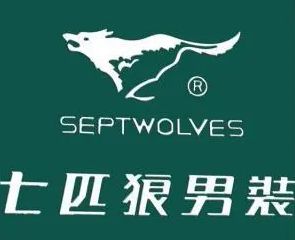 七匹狼男装在高端市场的定位,七匹狼品牌定位为品格男装